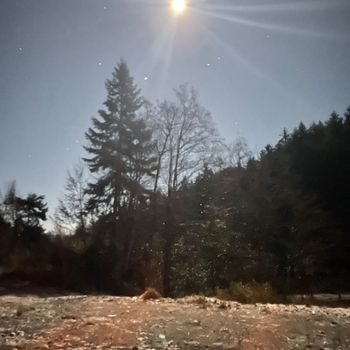 WhatsApp Image 2024-11-22 at 09.28.17.jpeg